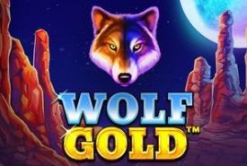 Wolf Gold review