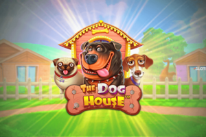 Pragmatic Play의 온라인 슬롯 The Dog House